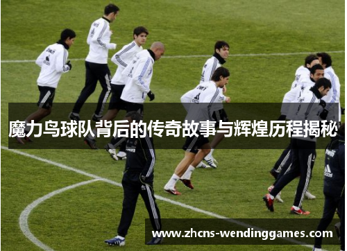 魔力鸟球队背后的传奇故事与辉煌历程揭秘 魔力鸟球队背后的传奇故事与辉煌历程揭秘